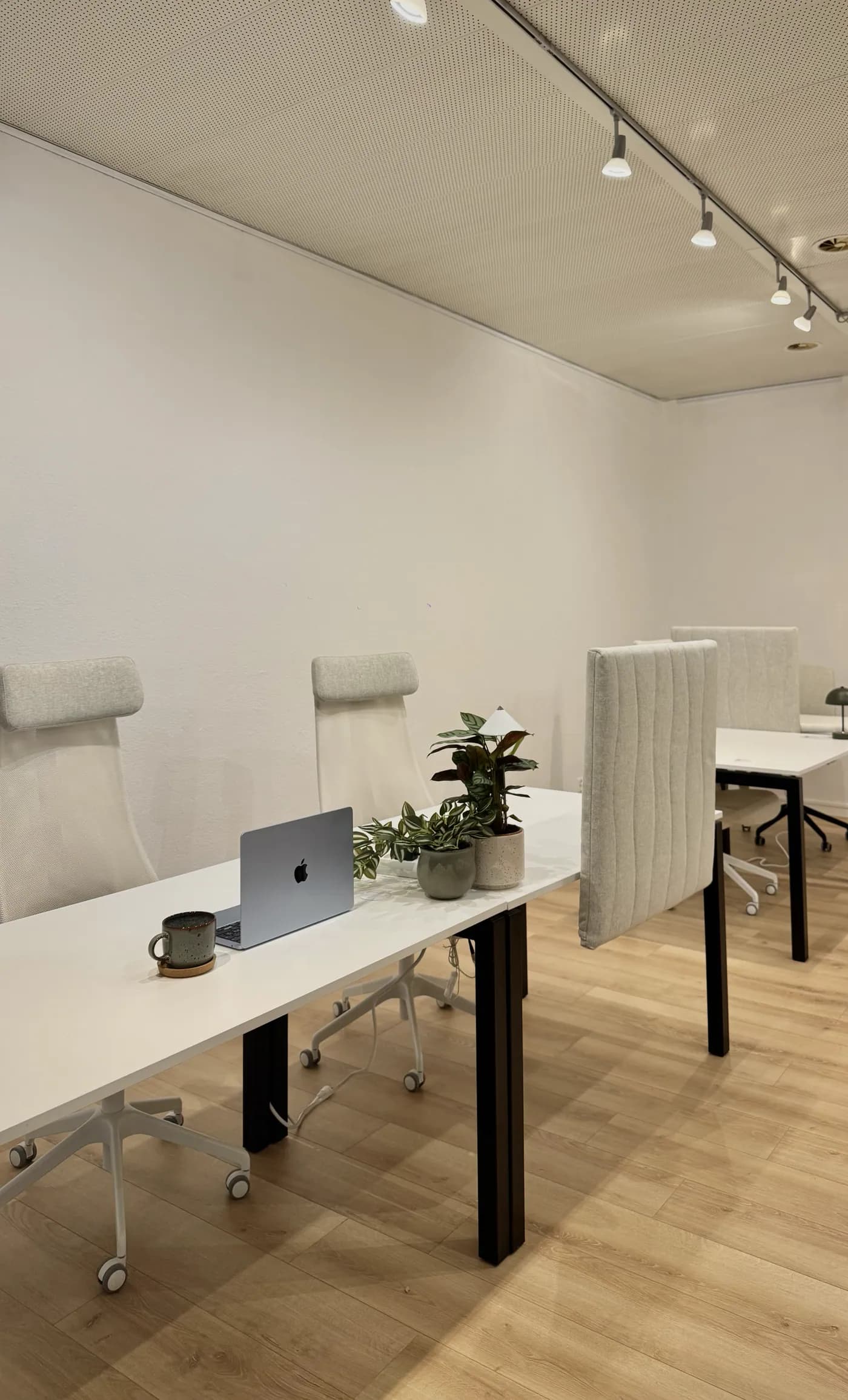 Postes de travail Otium à Belmont-sur-Lausanne, bureaux clairs avec MacBook et plantes